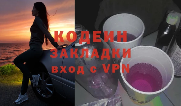 гидра Покачи