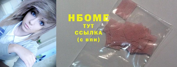 хмурый Аркадак