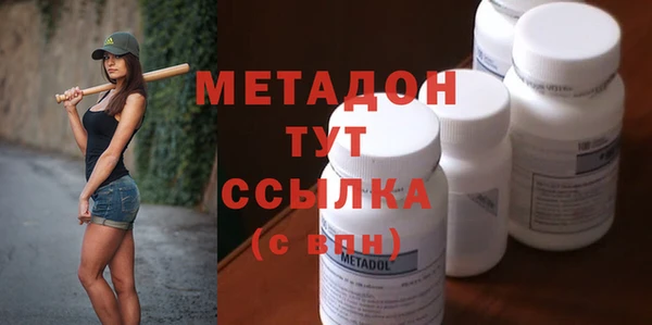 хмурый Аркадак