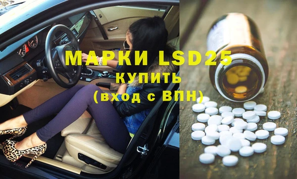хмурый Аркадак