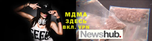 хмурый Аркадак