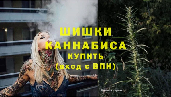 хмурый Аркадак
