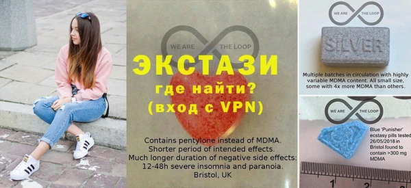 хмурый Аркадак