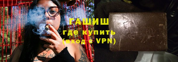 хмурый Аркадак