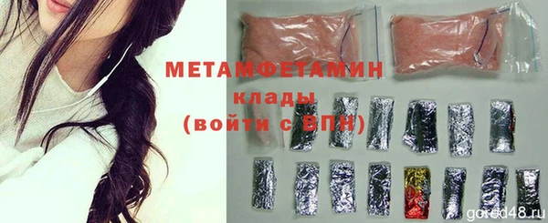 хмурый Аркадак