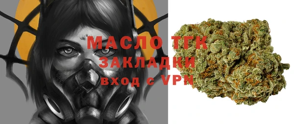 хмурый Аркадак